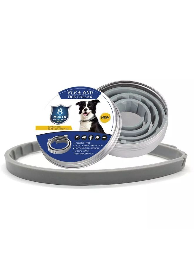 طوق مزود بقاتل بعوض وبراغيث وقمل ومضاد للأوبئة رمادي 38 x 32Ø³Ù†ØªÙŠÙ…ØªØ± - Image 2